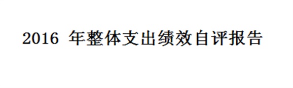 2016 年整体支出绩效自评报告