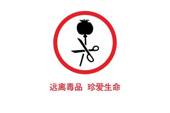 我院开展“厉害了，我的无毒青春”主题活动